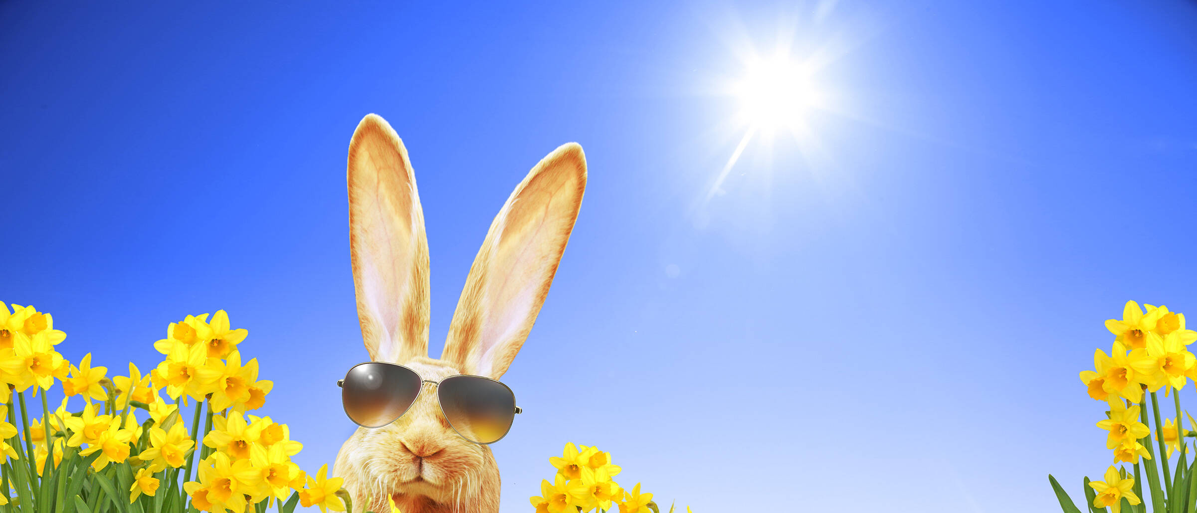 Das Ebertor Boppard ostern